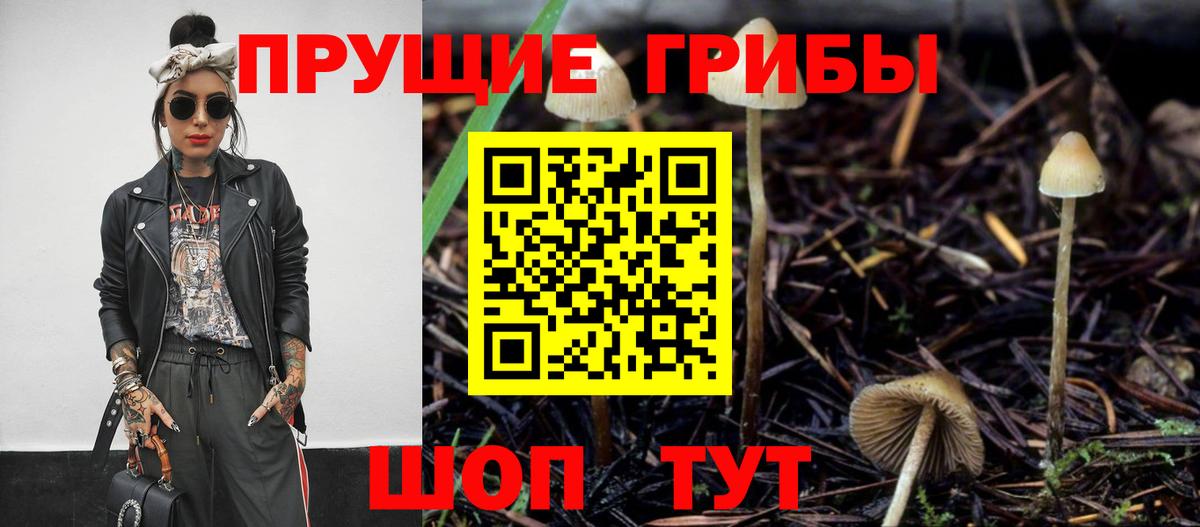 Галлюциногенные грибы MAGIC MUSHROOMS Советская Гавань